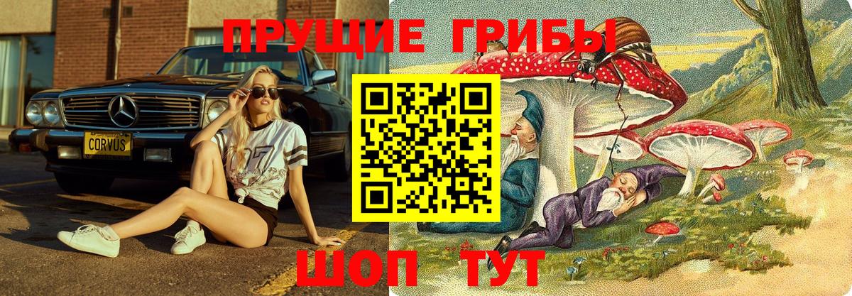 Псилоцибиновые грибы прущие грибы Москва
