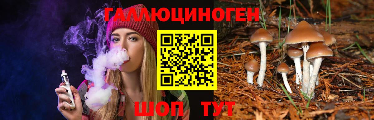 Москва  Псилоцибиновые грибы MAGIC MUSHROOMS  Вход с VPN  Псилоцибиновые грибы прущие грибы 